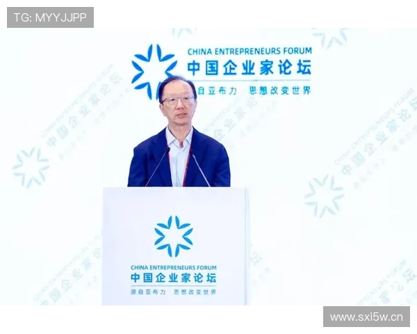 亚布力企业家论坛2017银川年会共话创新驱动与区域经济高质量发展