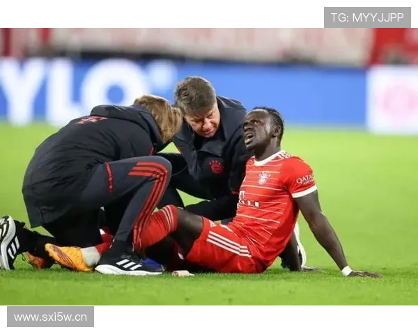 拜仁球迷领袖怒斥焰火漠视他人